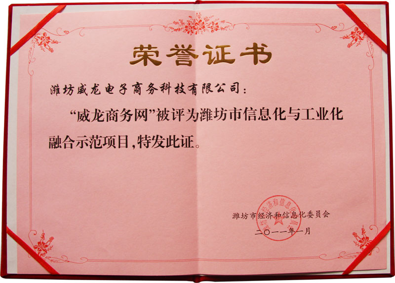 威龍公司喜獲濰坊市首批信息化與工業(yè)化融合優(yōu)秀服務機構(gòu)稱號
